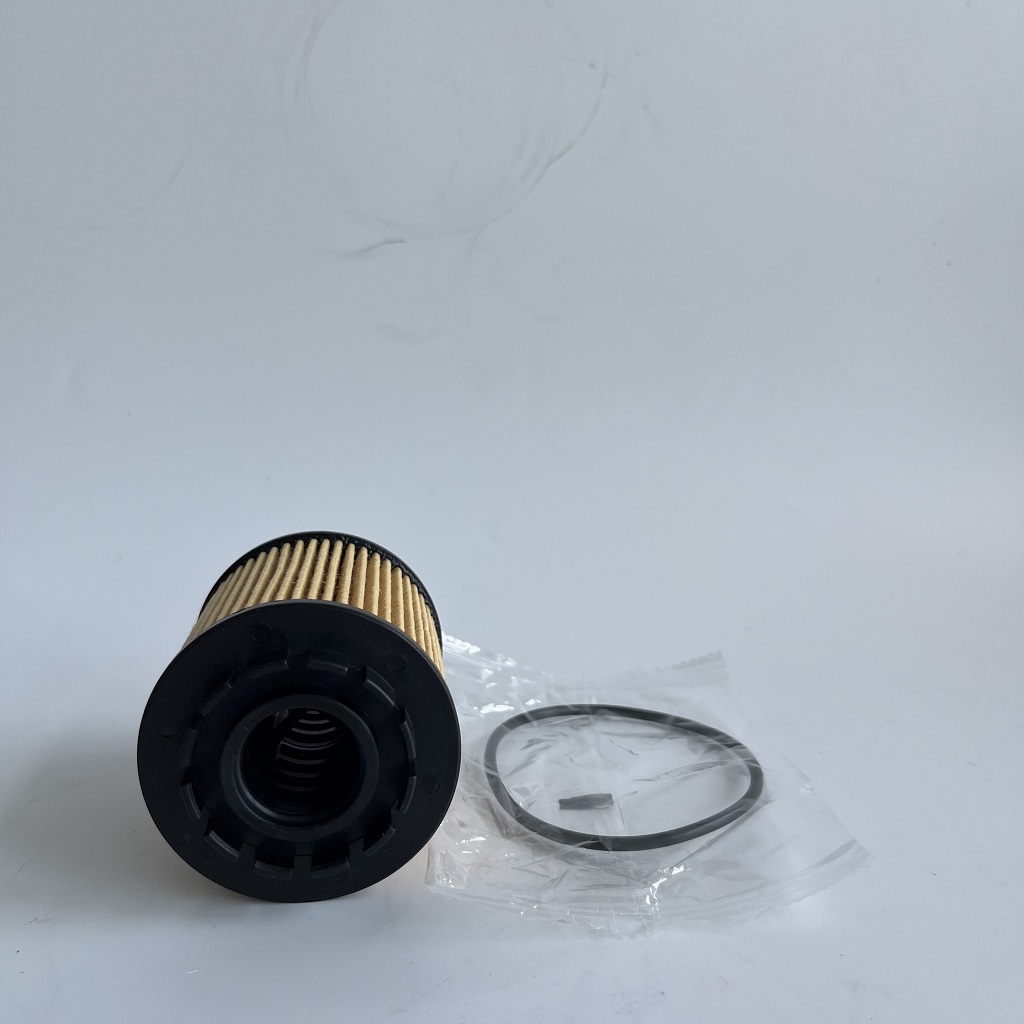 HU7043Z 1612565980 Oil Filter for PETGEOT